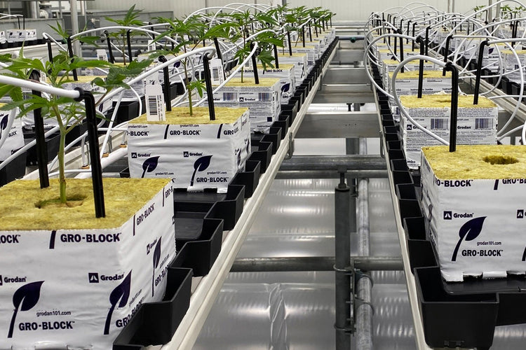 Hydroponics Supplies For Greenhouses, Gardening & Farming (Equipment, Tools, & Accessories)