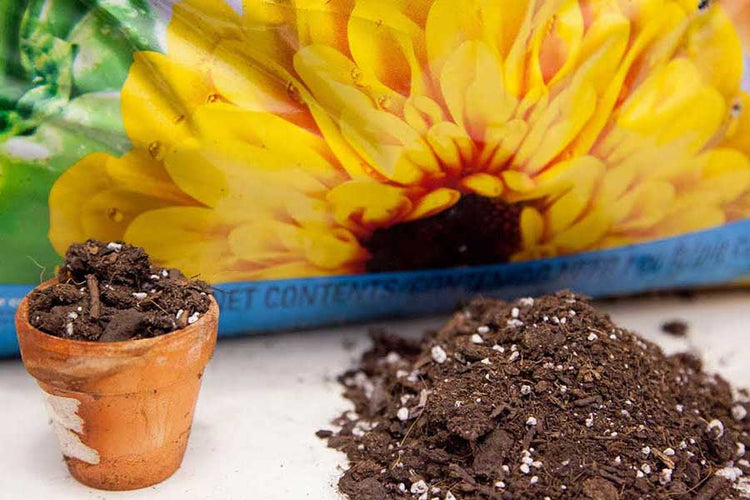 Coco Coir & Soilless Potting Mixes