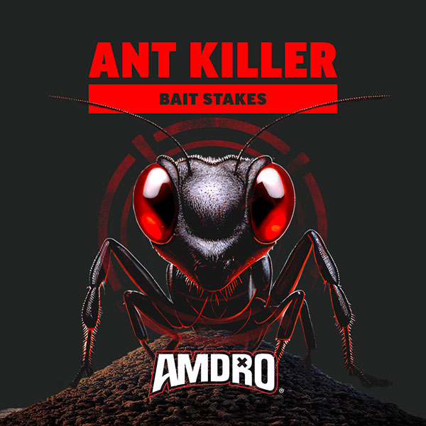 AMDRO® Ant Killing Bait Stakes, For Indoor & Outdoor Use (8 Stakes)