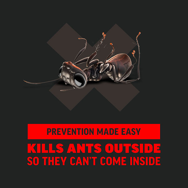 AMDRO® Ant Killer for Outdoor Home Perimeter, Ant Bait Granules (12 oz.)