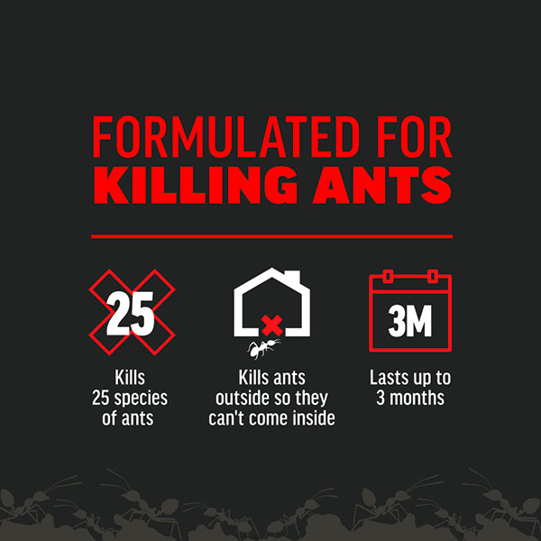 AMDRO® Ant Killer for Outdoor Home Perimeter, Ant Bait Granules (12 oz.)