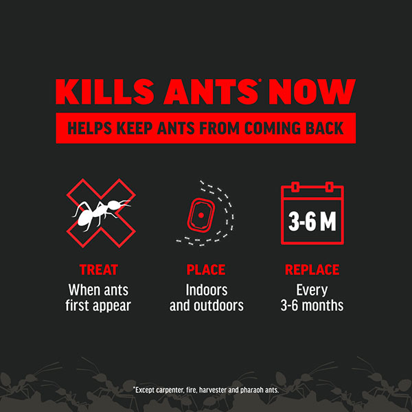 AMDRO® Ant Killing Bait Stakes, For Indoor & Outdoor Use (8 Stakes)