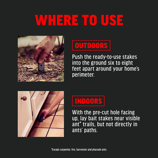 AMDRO® Ant Killing Bait Stakes, For Indoor & Outdoor Use (8 Stakes)