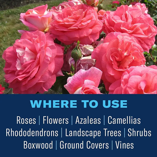BioAdvancedĀ® Disease Control For Roses, Flowers & Shrubs, Concentrate (32 oz.)