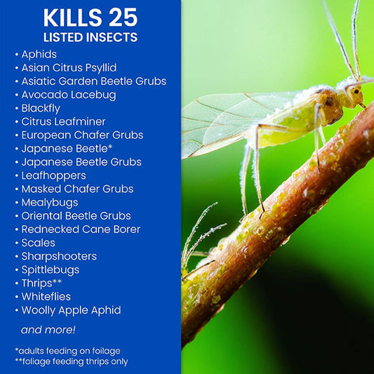 BioAdvanced® Fruit, Citrus & Vegetable Insect Control, Concentrate (32 oz.)