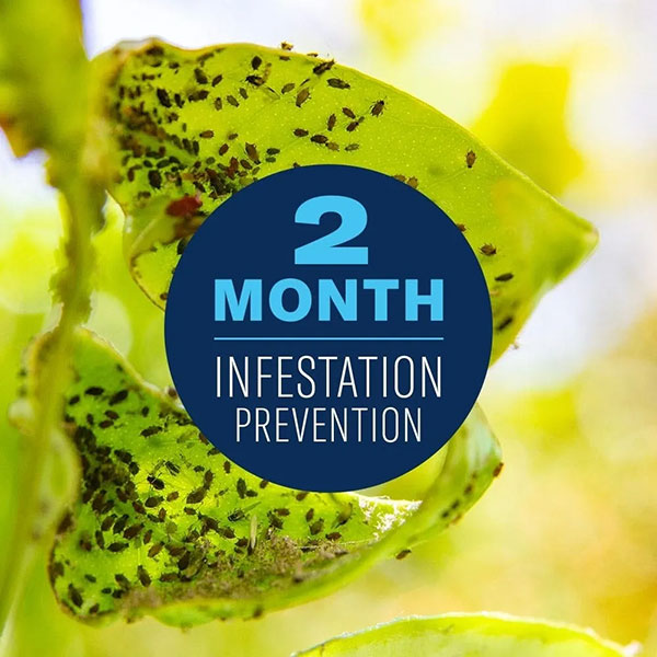 BioAdvancedĀ® Fruit, Citrus & Vegetable Insect Control, Concentrate (32 oz.)