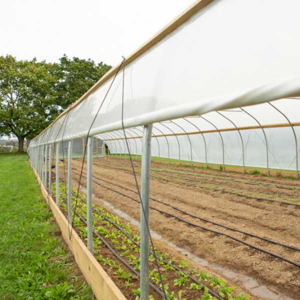 DL Wholesale, Greenhouse Film, 6 mil, Clear Plastic Sheeting (40’ ft. x 100’ ft.)