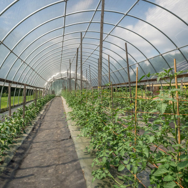 DL Wholesale, Greenhouse Film, 6 mil, Clear Plastic Sheeting (40’ ft. x 100’ ft.)