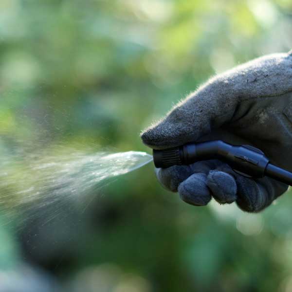 Flo-Master by Hudson® Lawn & Garden Sprayer (2 Gallon)