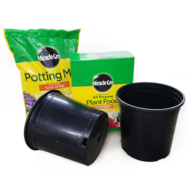 Miracle-Gro® Beginner Gardener Pack - Easy Plant Growing Starter Kit