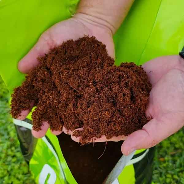 NutrifieldĀ® Coco Premium Organic Plant Medium (50 Liters)