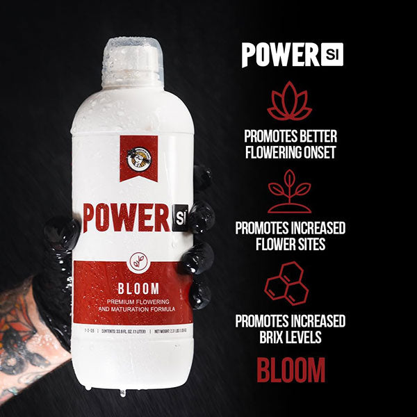 Power Si, Bloom, Premium Flowering & Maturation Formula (1 Liter)