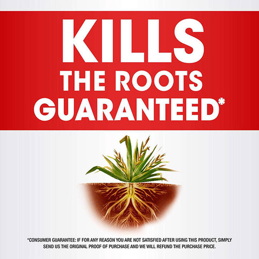 Roundup® Weed & Grass Killer Concentrate Plus (36.8 oz.)