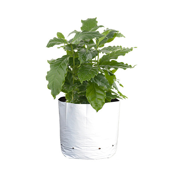 plant bag pot Sungrower® Black and White Grow Bag (5 Gallon), 25 Count – Perris Hydroponics