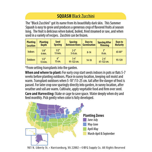 Wetsel Seed™ Organic Black Zucchini Squash Seed