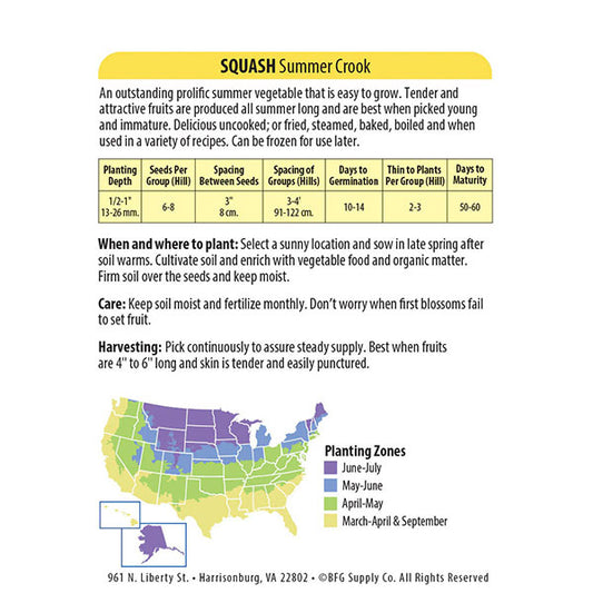 Wetsel Seed™ Organic Summer Crook Squash Seed