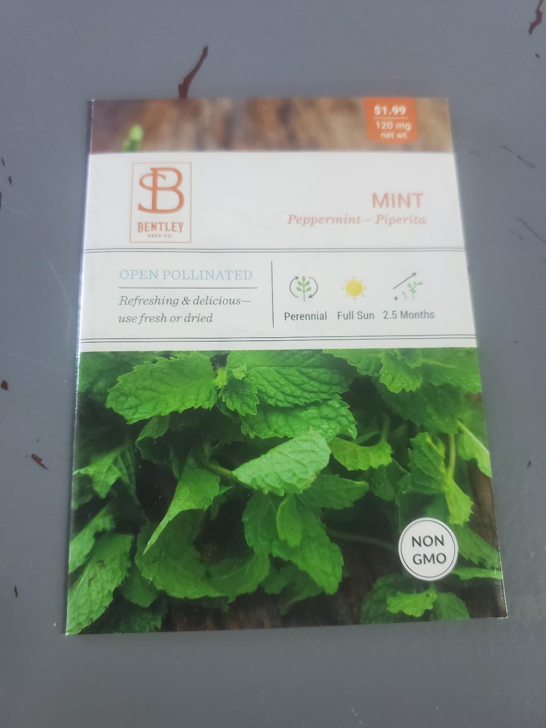 Mint