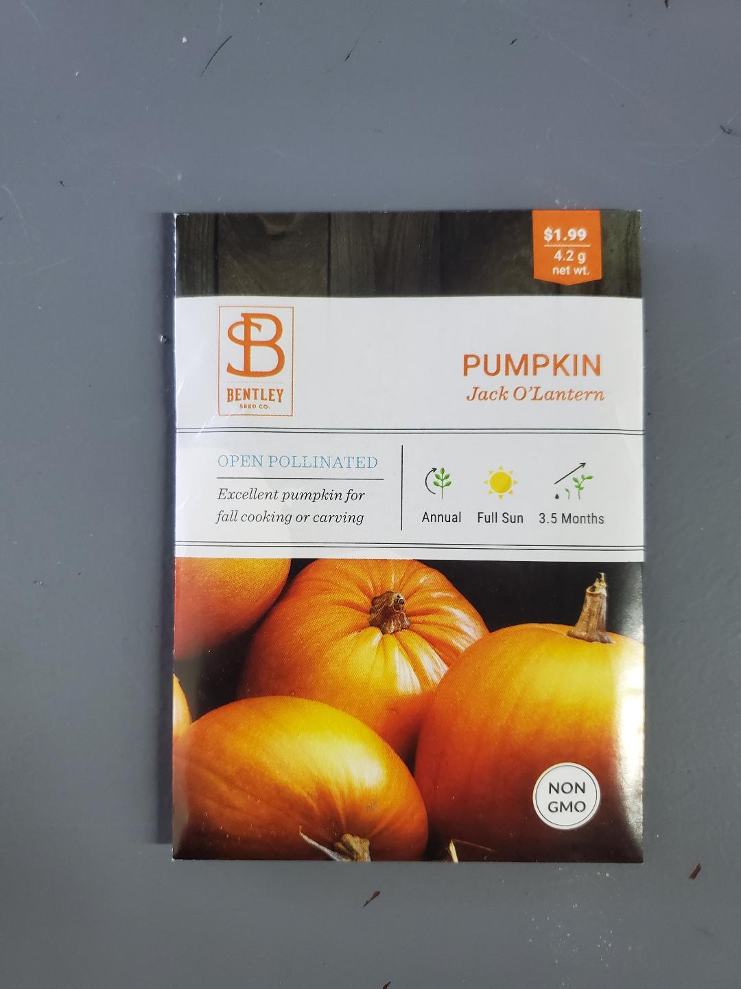 Pumpkin Jack O Lantern