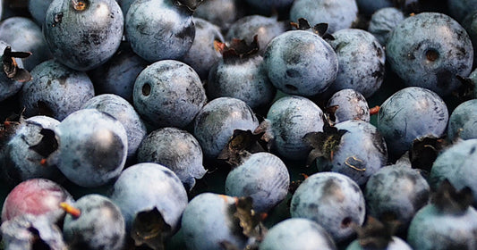 Growing Blueberries: Essential Nutrients & Soil Conditions