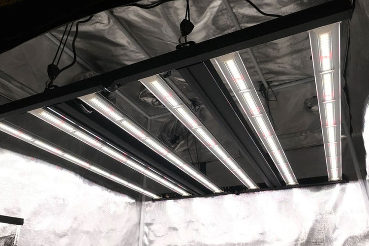 Grow Lights For Indoor Hanging Hydroponic Systems