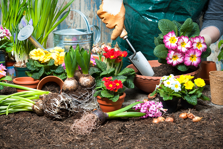 Harvesting Essentials (Garden Tools, Lawn Tools, Supplies & Storage Solutions)