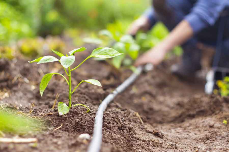 Tubes and Hoses For Hydroponic Farming