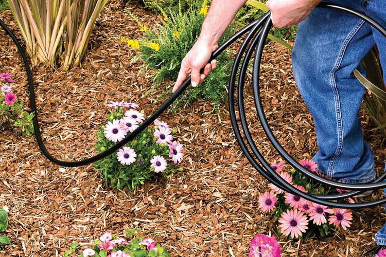 Drip Irrigation (Tubing, Emitters, Filters, Valves, Pressure Regulators, & Backflow Regulators)