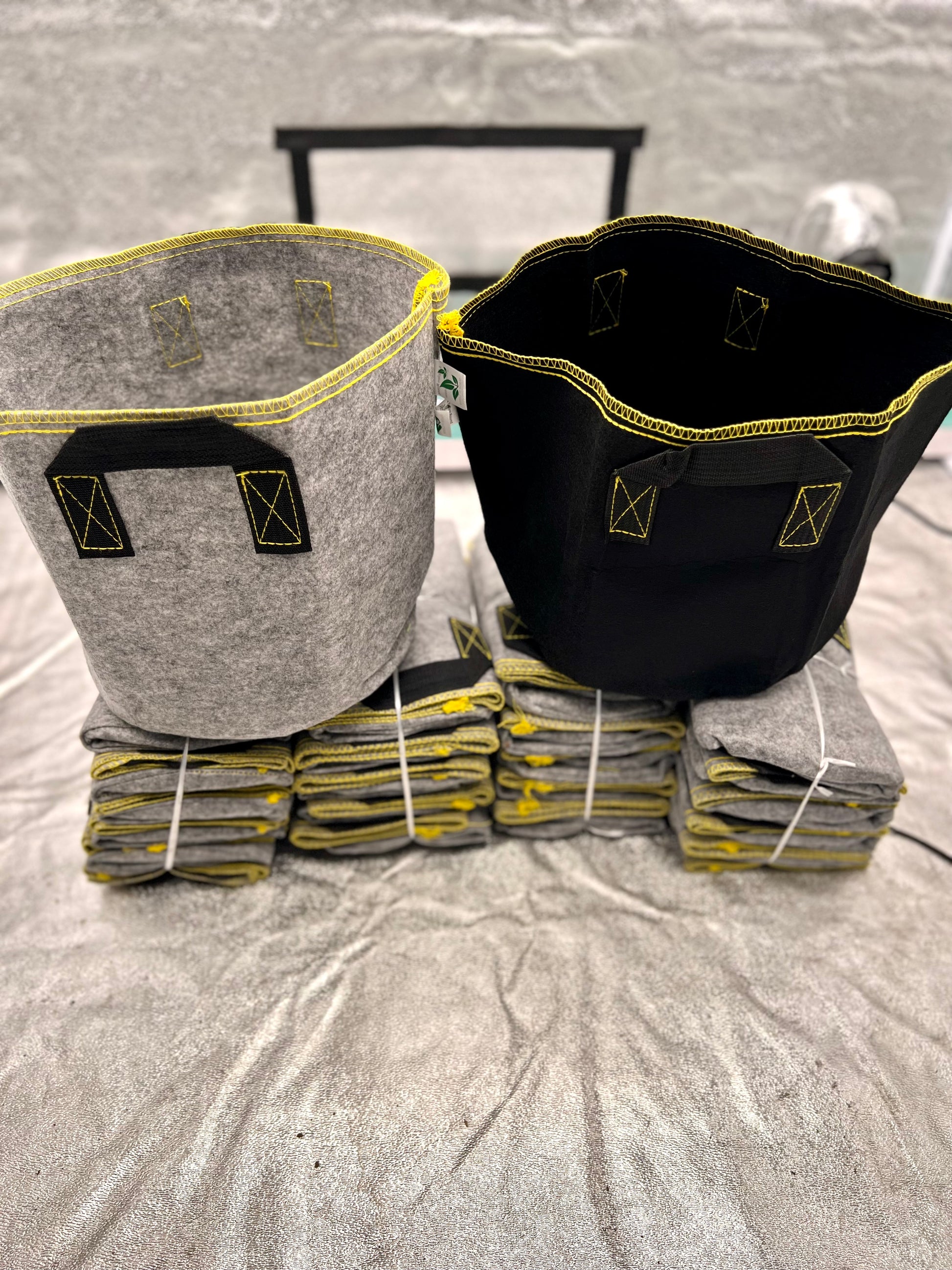growing plants in fabric pots Gold Gene® Fabric Pots For Growing Plants (4 Gallon) – Perris Hydroponics