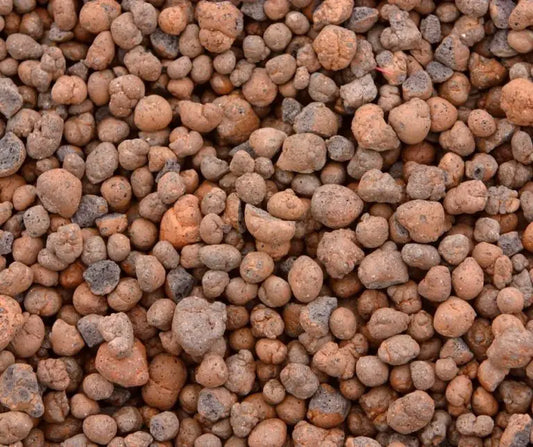 Clay Pebble 5 Pound Bag