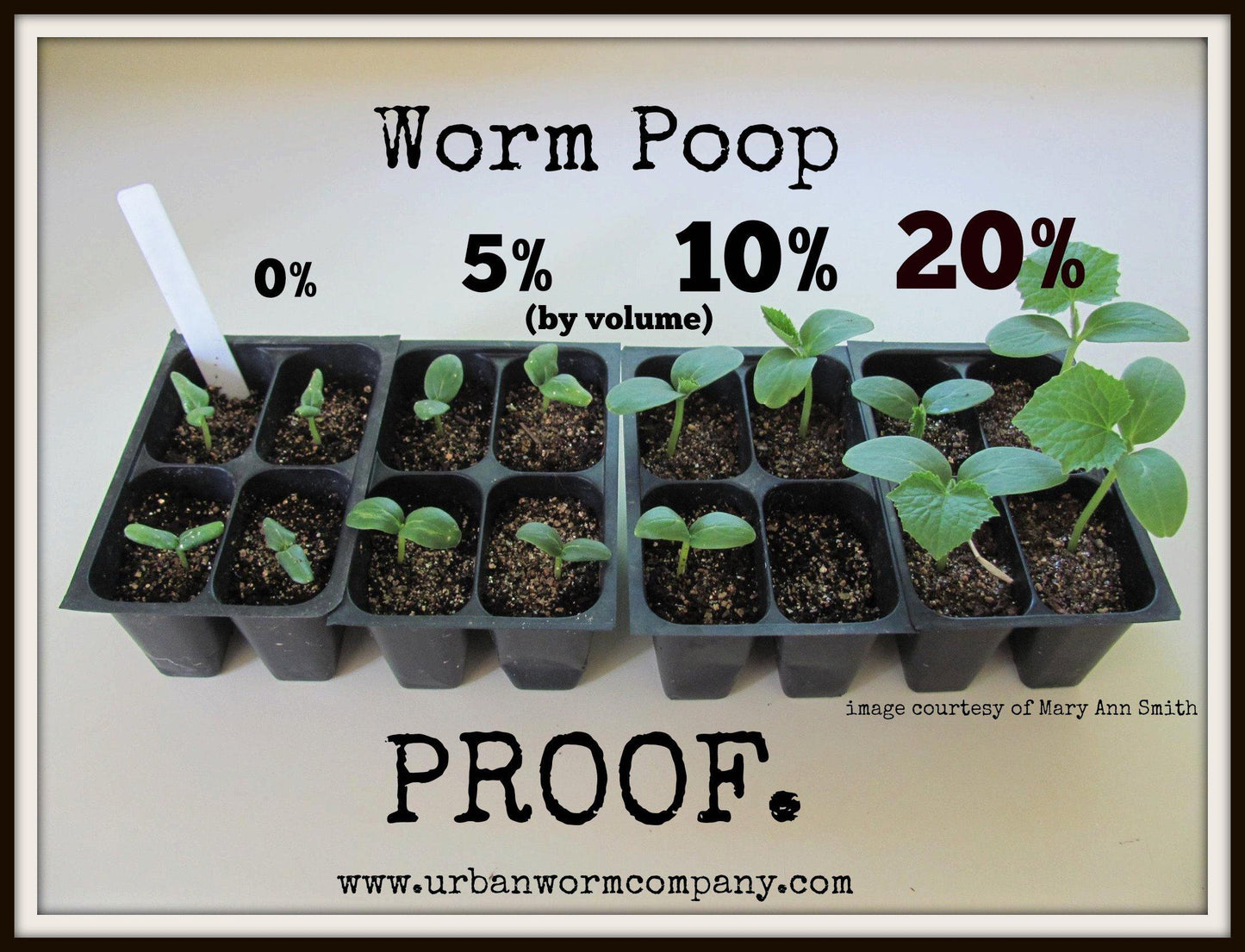 Urban Worm Company Worm Castings - Approved for Organic Use