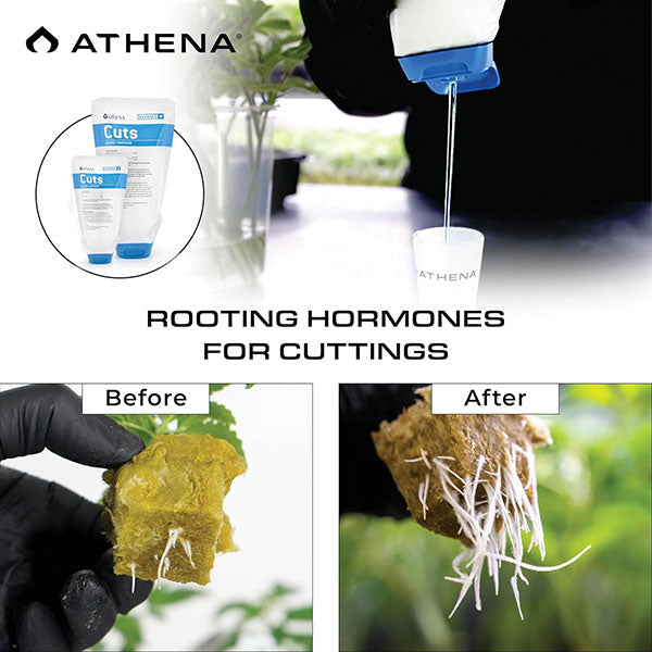 Athena® Cuts Rooting Compound (14 oz.)