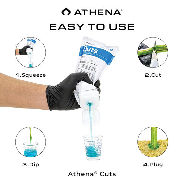 Athena® Cuts Rooting Compound (7 oz.)