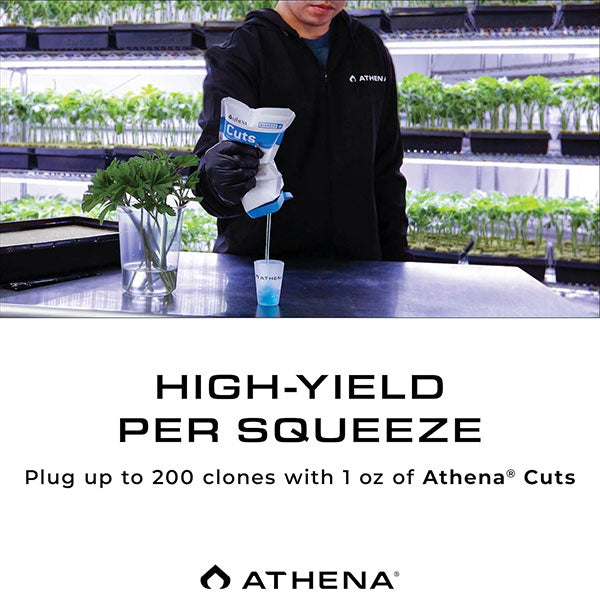 Athena® Cuts Rooting Compound (7 oz.)