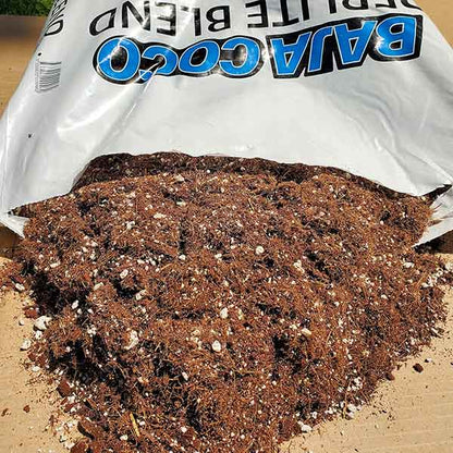 Baja Coco Perlite Blend, 42.5L Bag
