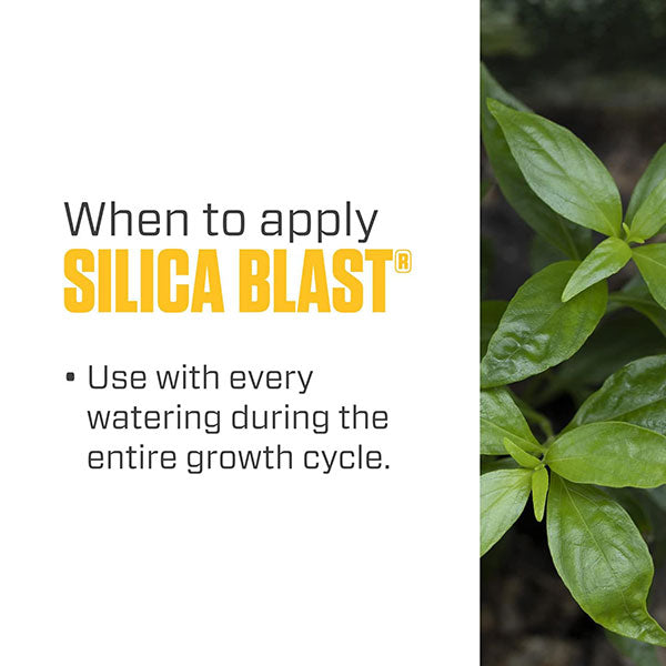 Botanicare® Silica Blast™ Nutrient Supplement (1 Quart)