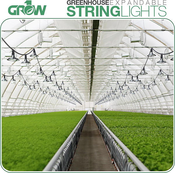 Grow1®, Expandable Greenhouse String Lights, 48 Bulbs (100 ft.)