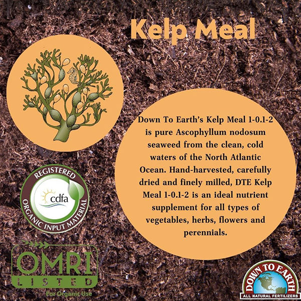 Down To Earth™, Kelp Meal 1-0.1-2, All Natural, Single Ingredient (5 LBS.)