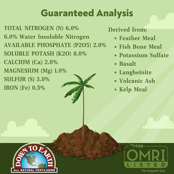 fertilizer for areca palm plant Down To Earth Palm Tree Mix 6-2-8