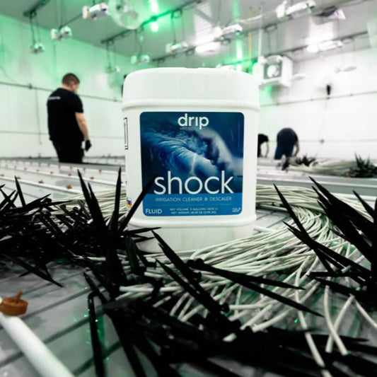 Drip Hydro Shock 5 Gallon