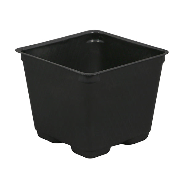 Gro Pro® Black Square Plastic Pot, Blow-Molded (4 in.)