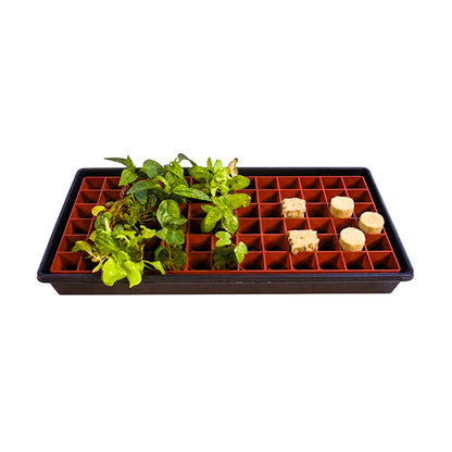 Grodan® Gro-Smart™ Tray, 78 Cell Starter Plug Tray, Terracotta