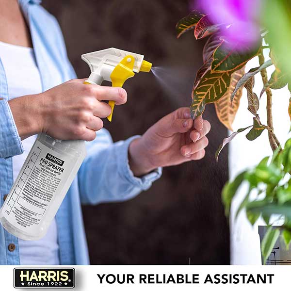 Harris® Pro Sprayer, Spray Bottle, Mister (32 oz.)