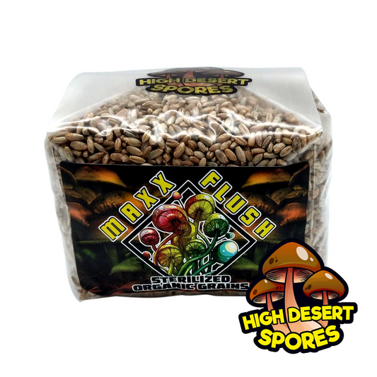 Sterilized Organic Rye Berry Bag (3 lbs)