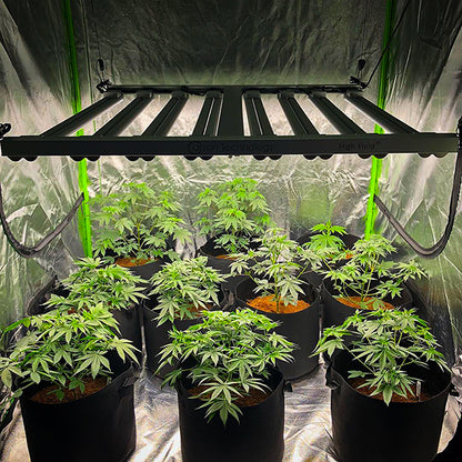 grow light for 3x3 tent HighYield 3' x 3' Tall Square Indoor Grow Tent Cube – Perris Hydroponics