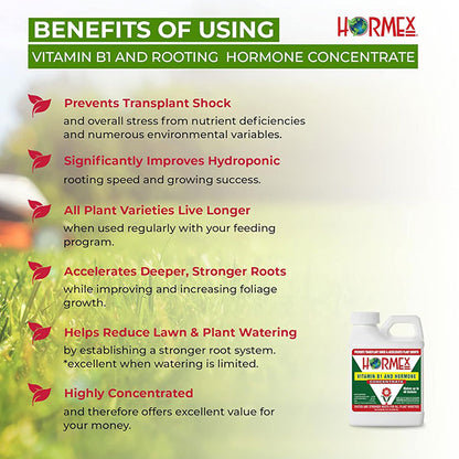 HORMEX® Vitamin B1 and Rooting Hormone Concentrate (1 Quart)