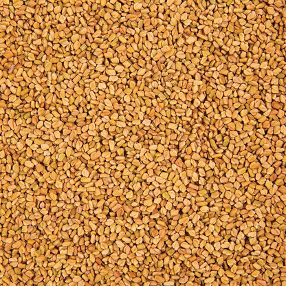 Organic Fenugreek Sprouting Seed