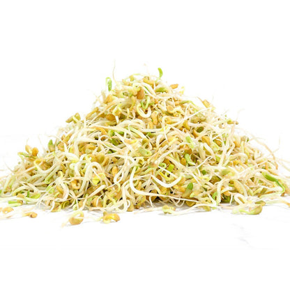 Organic Fenugreek Sprouting Seed