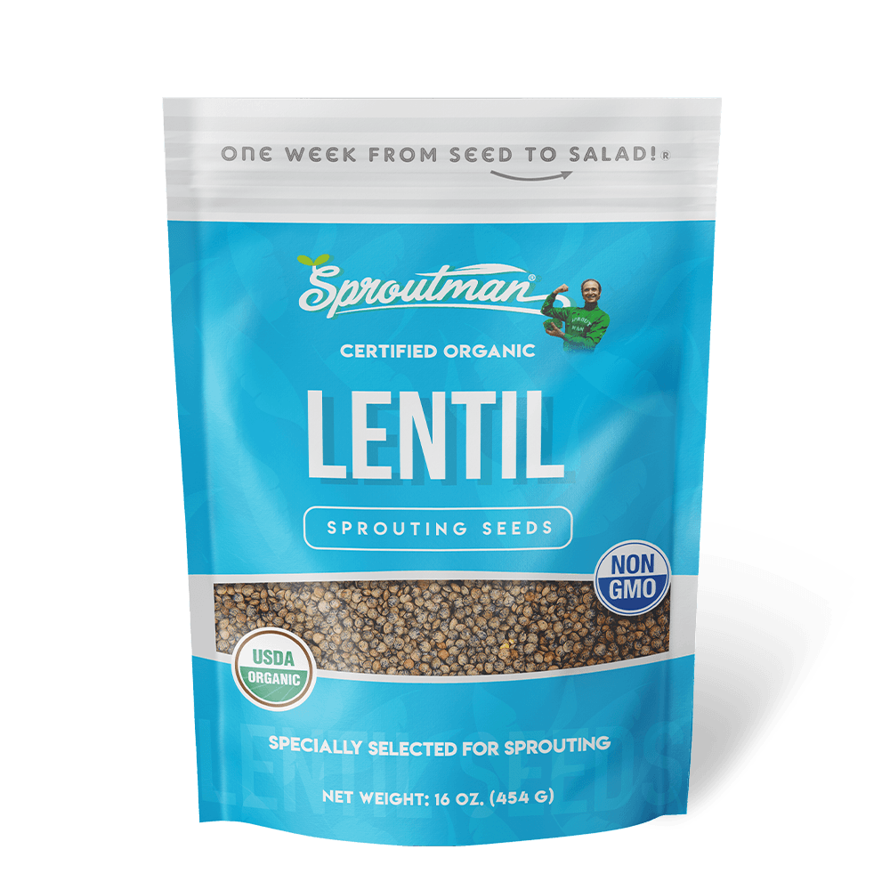 Organic Lentil Sprouting Seed