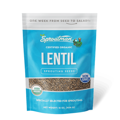 Organic Lentil Sprouting Seed