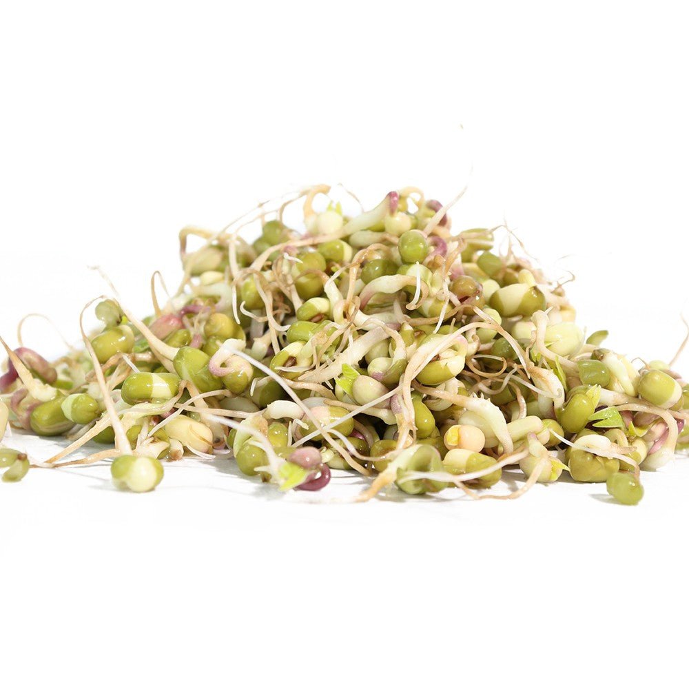 Organic Mung Bean Sprouting Seed